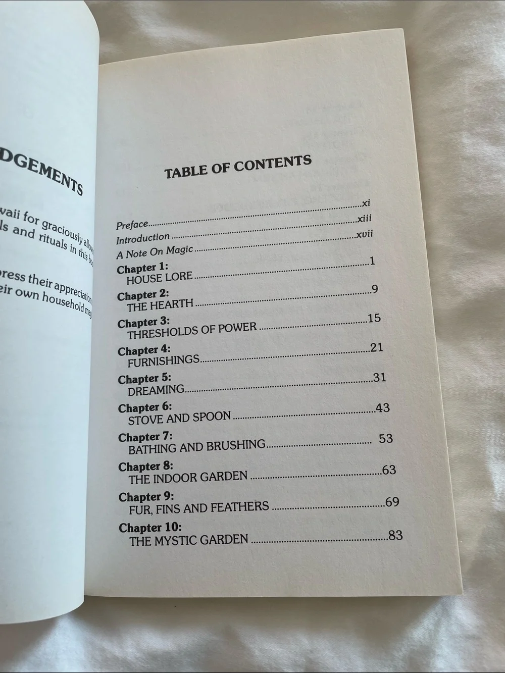 The Magical Household (Blue) - Scott Cunningham & David Harrington